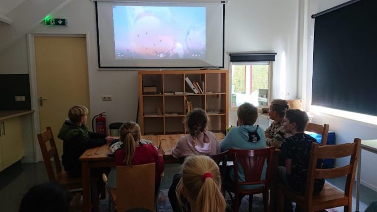 Schoolbezoek Palet 4
