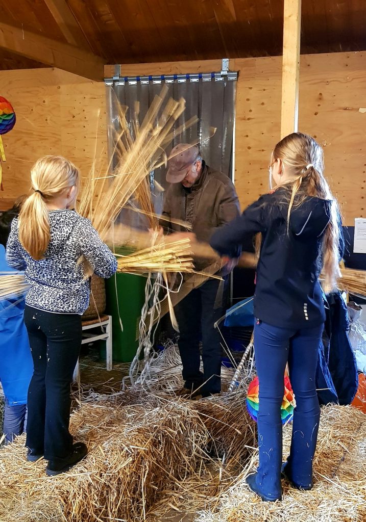 Workshop kinderboerderij 2