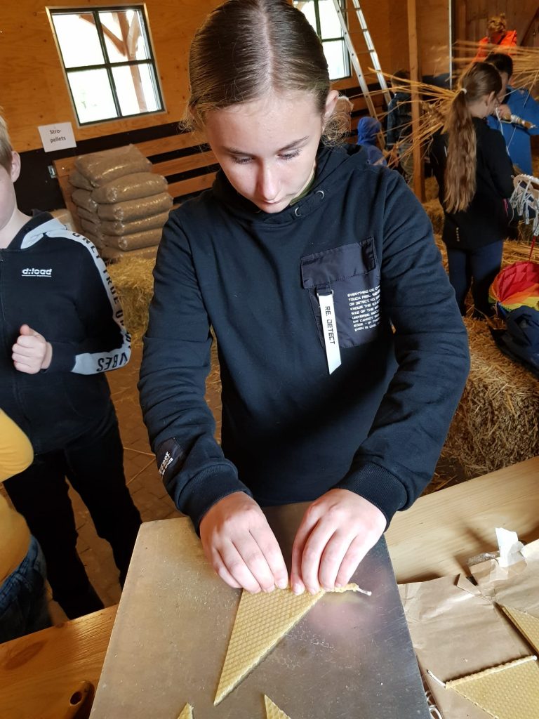 Workshop kinderboerderij 3