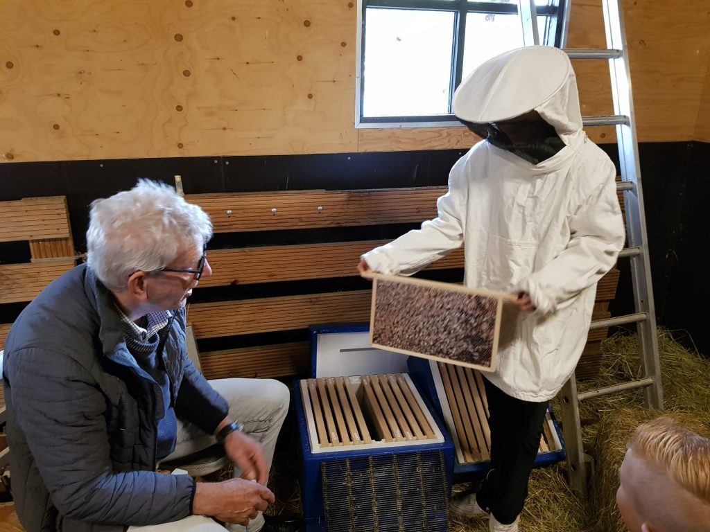 Workshop kinderboerderij 5