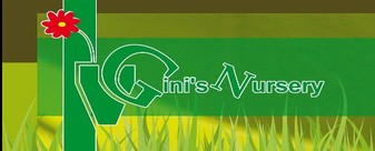 Gini's Nursery