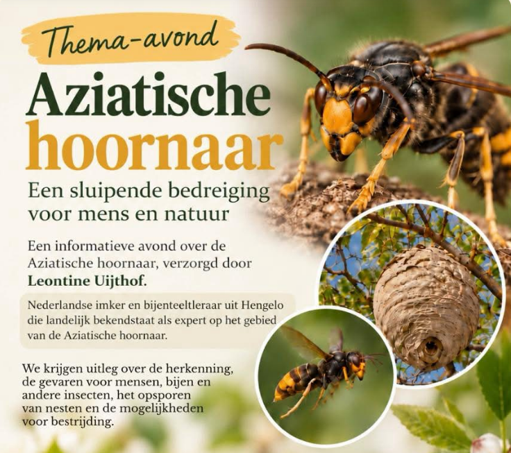 Lezing Aziatische Hoornaar 26 November
